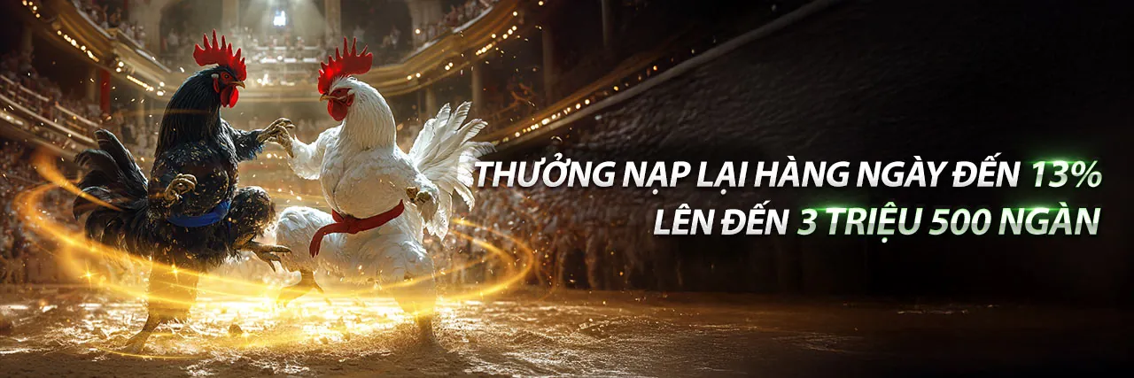 Đá gà trực tuyến kịch tính trên hi8 app android